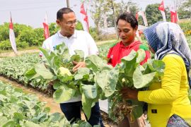 Ratusan petani di Karawang belajar teknologi pertanian hortikultura peringati Hari Tani