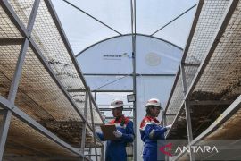 Inovasi Geothermal Dry House untuk petani kopi Kamojang