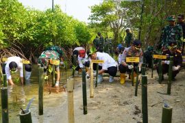 Bupati: Pantai Jepara  terdampak abrasi perlu dibangun seawall dan jeti