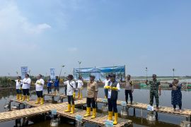 Pelindo usung konsep Pelabuhan Hijau untuk perkuat ekosistem pesisir