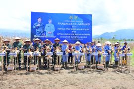 KASAU dukung ketahanan pangan nasional lewat panen raya jagung di Lanud Sutan Sjahrir Padang
