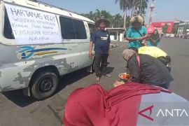 Petani di Jember bagikan sayur gratis dalam rangka Hartanas 2025