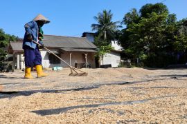 Pemprov Babel arahkan ASN beli beras petani lokal