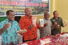 Pemkab Biak Numfor latih keterampilan warga OAP olah beras analog sagu