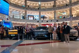 Market share mobil listrik capai 12 persen