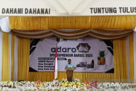 Pemkab berkomitmen terus dukung pengembangan UMKM di Barito Selatan