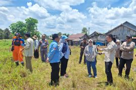 Menteri LH utus tim analisis karhutla di Banjarbaru dan Barito Kuala