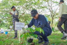 PT Timah tanam 1.200 pohon buah sukseskan "Seribu Pohon Untuk Negeri"