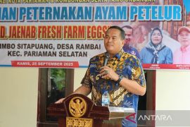 Pemkot Pariaman sebut peluang pertenakan ayam petelur pasca bergulirnya MBG