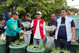 Pemkot Palembang salurkan 1.000 bibit ikan  lele untuk warga