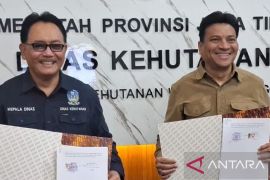 Pemprov Maluku-Jatim jalin kerja sama dan penguatan sektor kehutanan