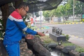 Pertamina Patra Niaga RJBB dukung pemanfaatan limbah daun sirih dan konservasi ikan toman