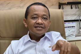 Produksi Freeport setop 3 pekan, Menteri ESDM: Fokus cari 5 korban longsor