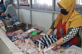 Harga daging ayam  ras di Purwokerto berangsur turun
