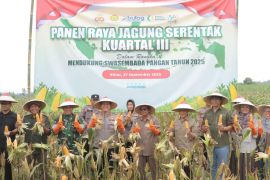 Polres Blitar panen jagung di lahan seluas 2,9 hektare