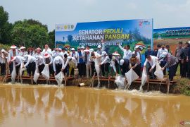 Kita harus bantu presiden wujudkan kedaulatan pangan