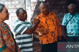 Pemkab Biak sebut peternak OAP pemasok telur ayam menu MBG