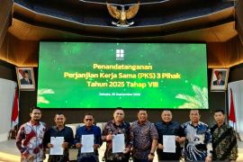 BRK Syariah Gandeng Tiga Pihak, Perkuat Dukungan untuk Peremajaan Sawit Rakyat