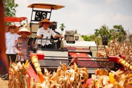 Polri distributes 1,765 tons of corn to Bulog to support food security