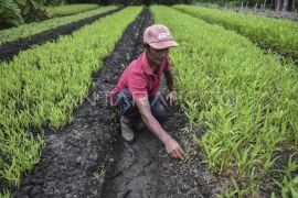 Pemberdayaan petani melalui pengembangan kampung wisata