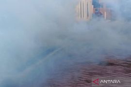 Dua orang meninggal dunia akibat DBD, Pemkab Pasaman Barat minta masyarakat jaga kebersihan rumah dan lingkungan