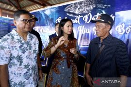 Wamenpar ingatkan semua pihak, jaga habitat hiu paus di Gorontalo