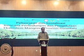 Gubernur targetkan area bakau di Gorontalo lebih luas dari tambak