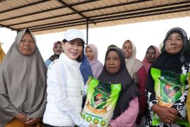 Li Claudia tinjau pembangunan infrastruktur di Tanjung Banun