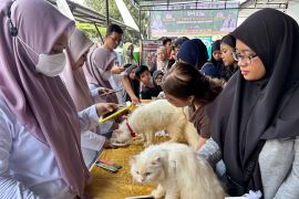 DPKH Bone dan komunitas hewan peringati Hari Rabies Sedunia