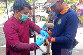 DKPP Kota Madiun lakukan vaksinasi anti-rabies untuk kucing liar