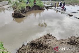 Tanggul Aek Siandurian Sipoholon jebol, lima hektar lahan terendam