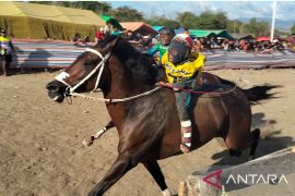 Koalisi desak pemerintah hentikan eksploitasi joki anak di pacuan kuda NTB