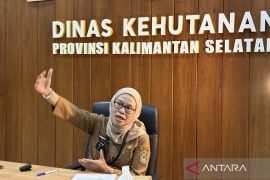 Dishut Kalsel rancang RHL unggulan FOLU-REDD+ di perkotaan