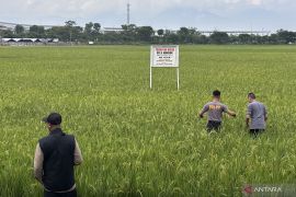 BKAD Bongkar Plang Liar di Sekitar GBLA, Tanah Pemkot Bandung Kembali Aman