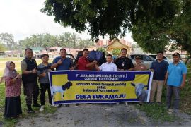 Setelah ayam, PT WBL kembali salurkan bantuan berupa ternak kambing