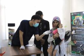 Distanpang Tangerang:  Layanan puskeswan pastikan kesehatan hewan peliharaan