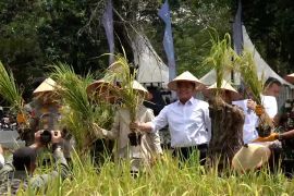 Inovasi padi apung ditampilkan di gebyar perbenihan nasional