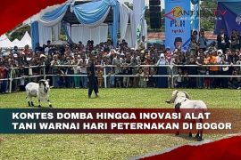 Kontes domba hingga inovasi alat tani warnai Hari Peternakan di Bogor