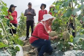 Program MBG dongkrak semangat dan pendapatan petani di Serdang Bedagai