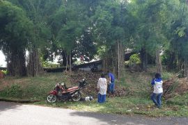 Kabupaten Banyuasin jadikan reforma agraria pemicu pembangunan