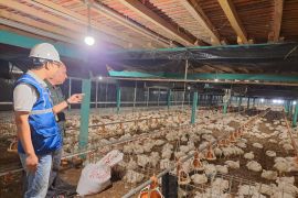 Pemerintah pastikan tarif listrik tidak naik pada triwulan IV  2025