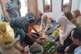 Petani Probolinggo gunakan pestisida nabati atasi serangan hama