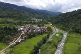 Hutan adat terjaga, ekonomi masyarakat tumbuh