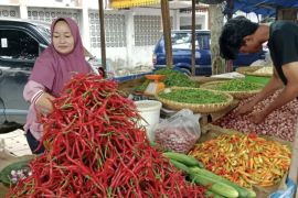 BPS cacat inflasi bulanan Provinsi Riau tertinggi se-Indonesia