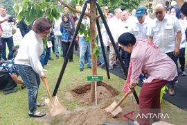 Megawati menanam pohon bodhi di halaman Balairung UGM