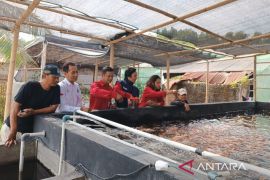 Pemkab Bekasi kembangkan potensi desa melalui BUMDes