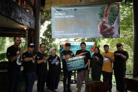 PTPN IV PalmCo dukung rehabilitasi orangutan, wujudkan sawit yang bersahabat dengan alam
