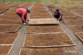 Gappri berharap dilibatkan dalam perumusan kebijakan tarif CHT