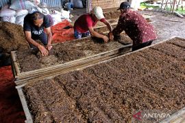 Petani Temanggung mulai mengolah lahan tembakau