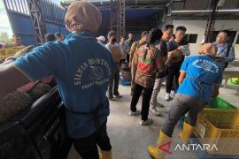 Kadin Parimo minta Pemprov Sulteng susun regulasi khusus durian